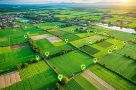 Commercially Land In Ratedi, Dewas
